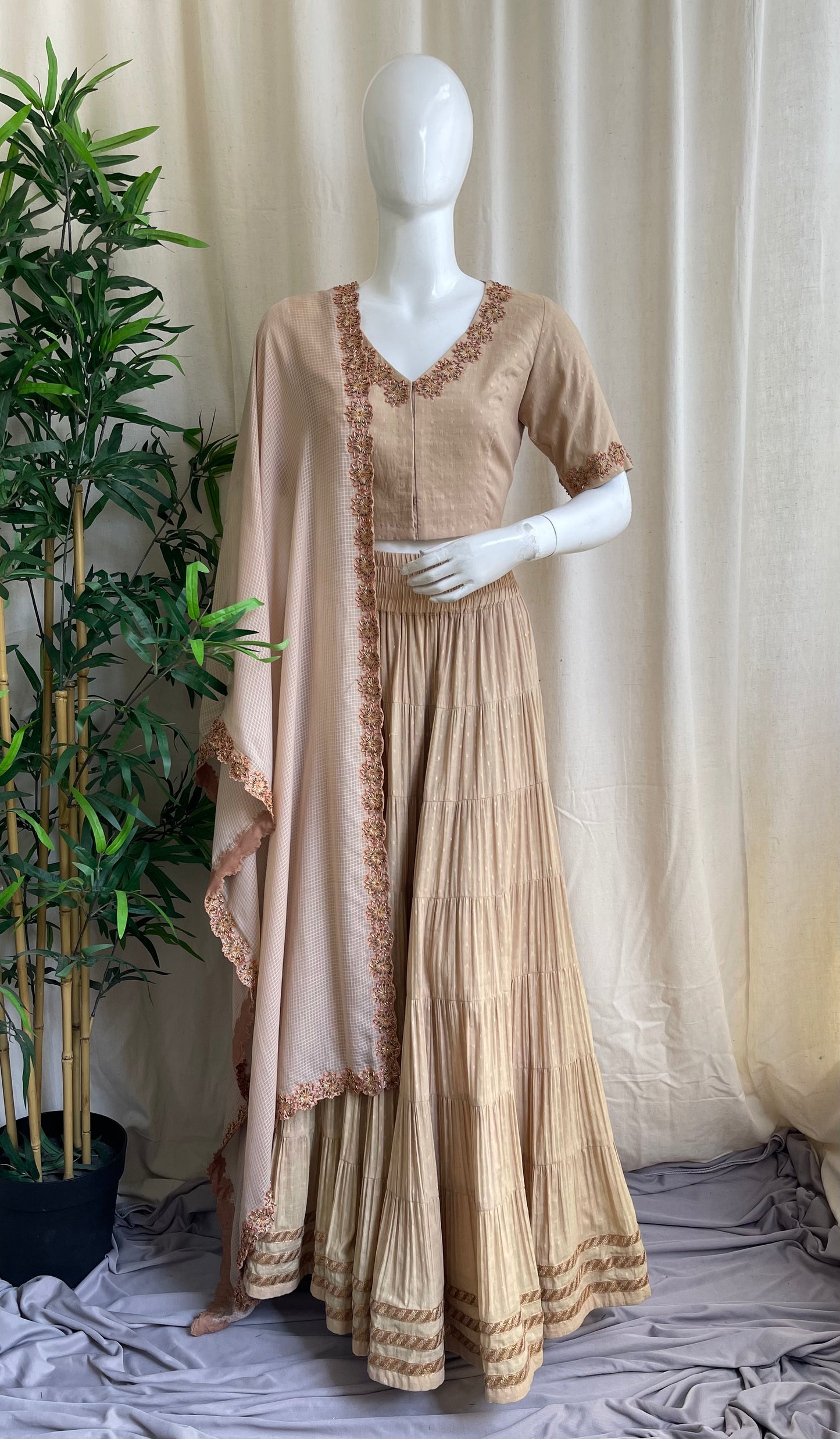 Chameli Beige Gazzing Skirt Set