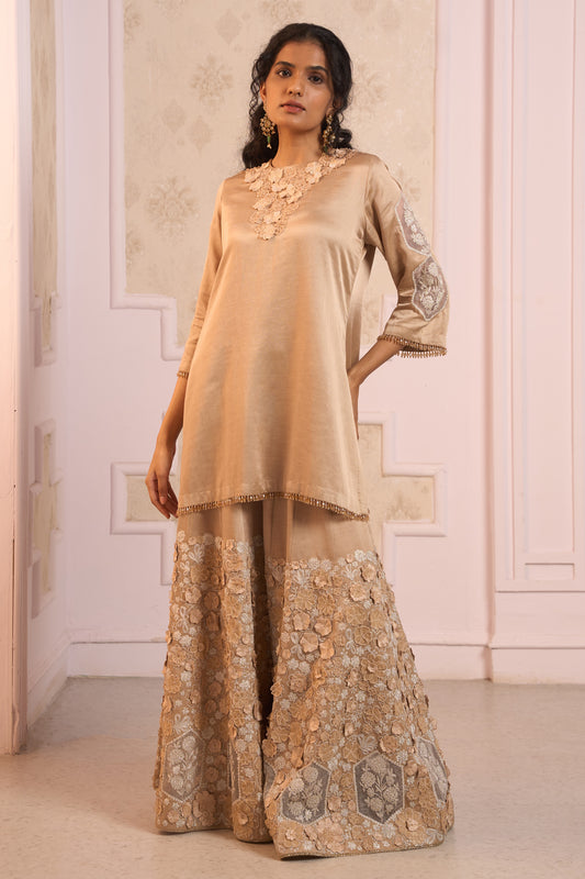 Kanira Sharara Set
