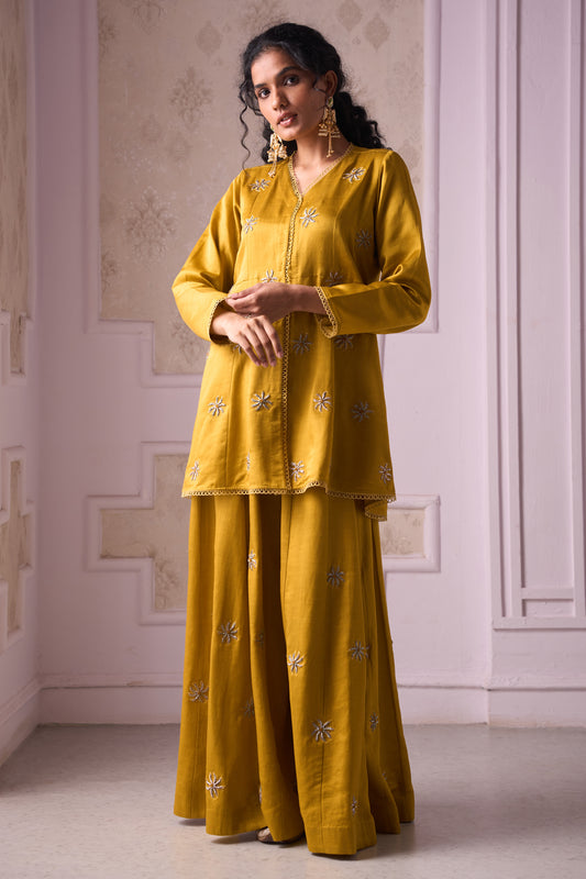 Divija Sharara Set