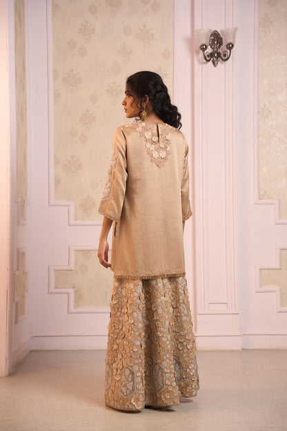 Kanira Sharara Set