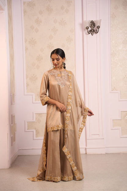 Saanjh Sharara Set