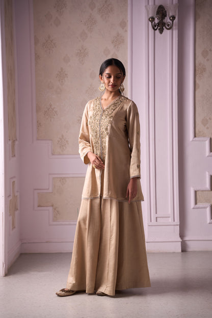 Ritambhara Sharara Set