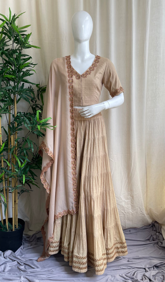 Chameli Beige Gazzing Skirt Set