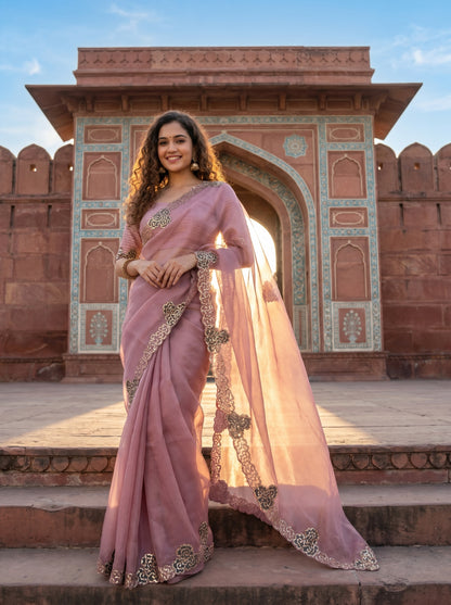 Rosabelle Appliqué Organza Sari
