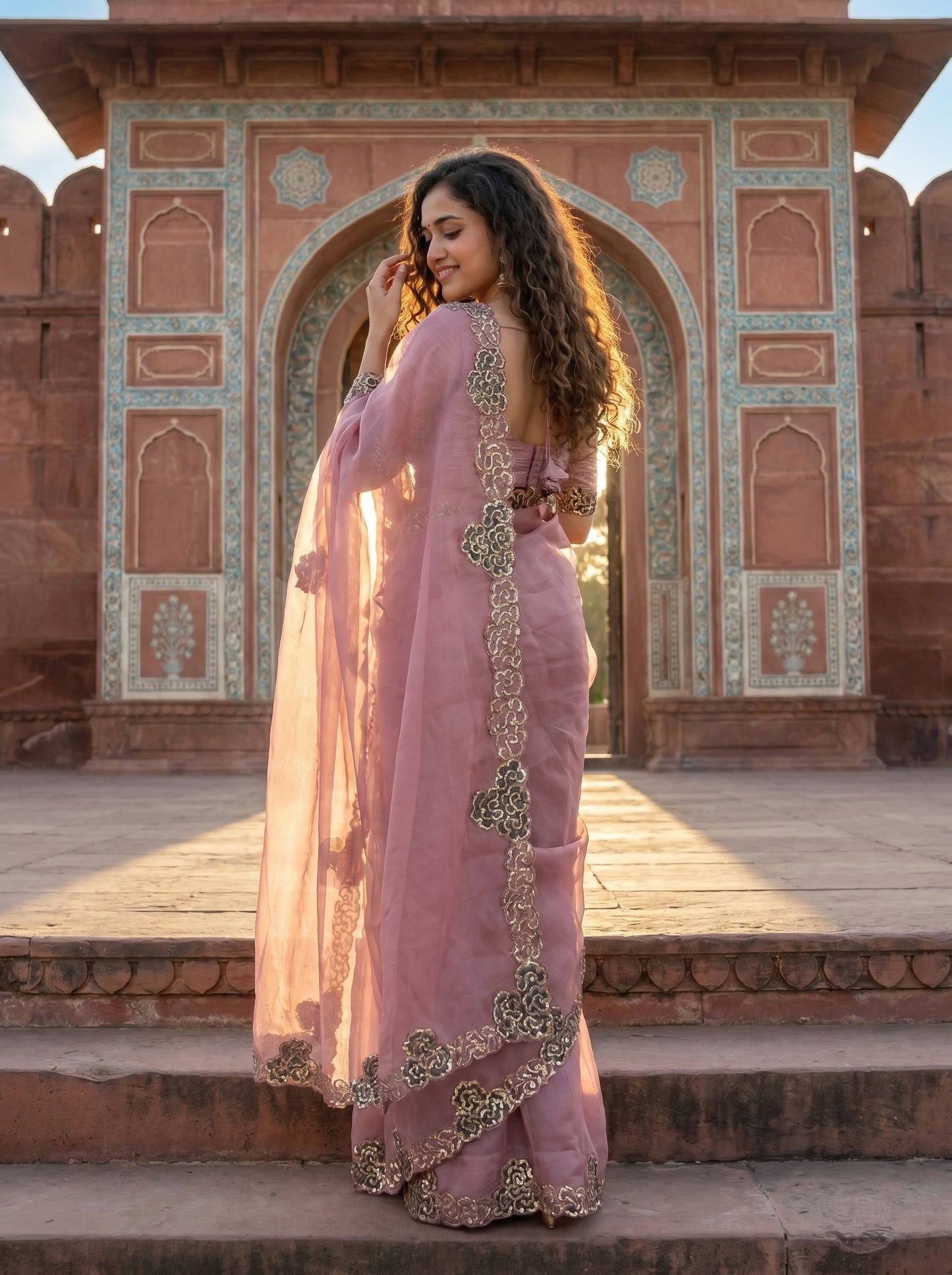 Rosabelle Appliqué Organza Sari
