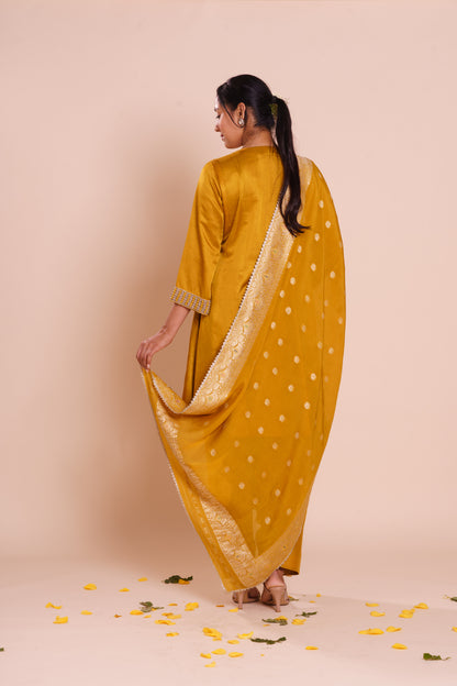Saanvi Mustard Set