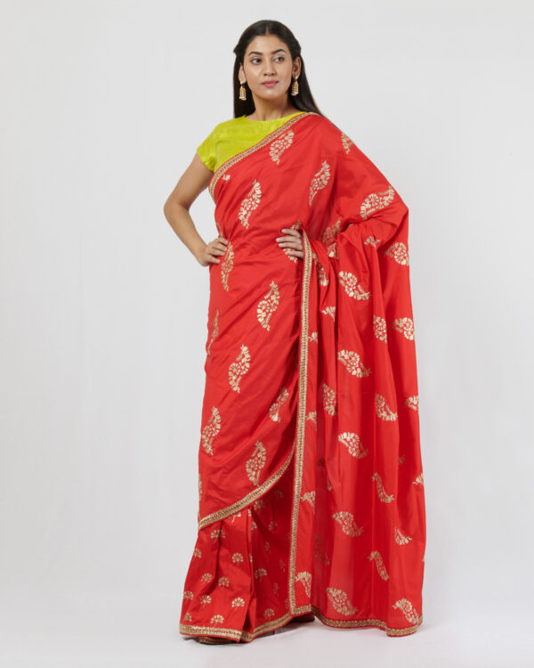 Sari with hand embroidered gold aari butas all over