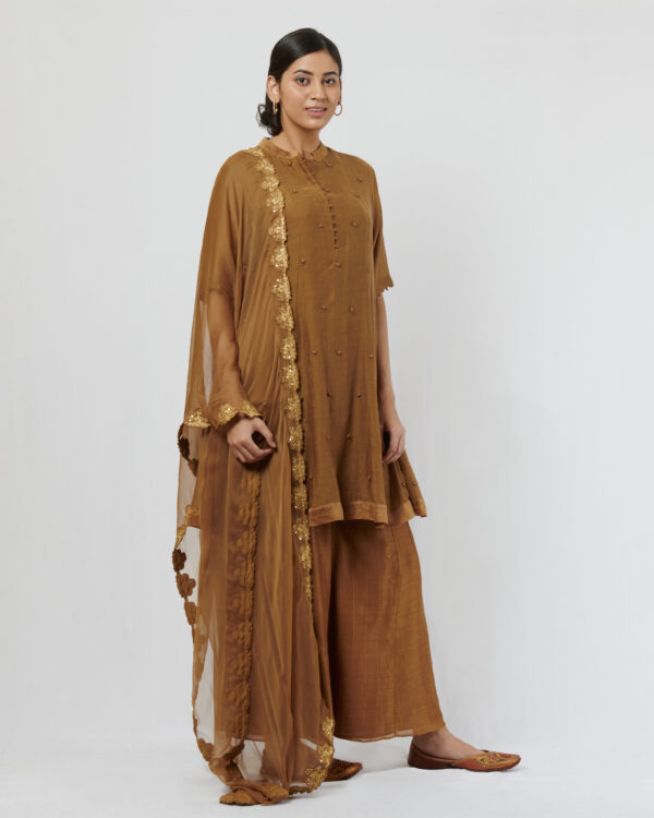 Chiffon dupatta with gold sequins and aari hand embroidered border