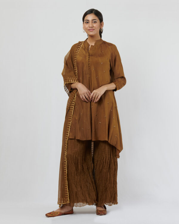 Spun silk short kurta with hand potlis and sequence details matched with a gold kanchi tissue applique and cutwork kota dupatta. It comes along with kota tiered crush pants